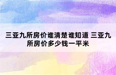 三亚九所房价谁清楚谁知道 三亚九所房价多少钱一平米